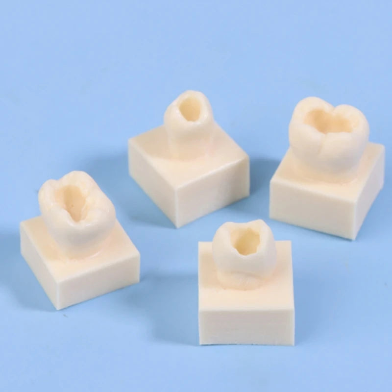 8Pcs Dental Resin Filling Practice Model Posterior Teeth Cavity Hole Restoration Student Training Studying Model