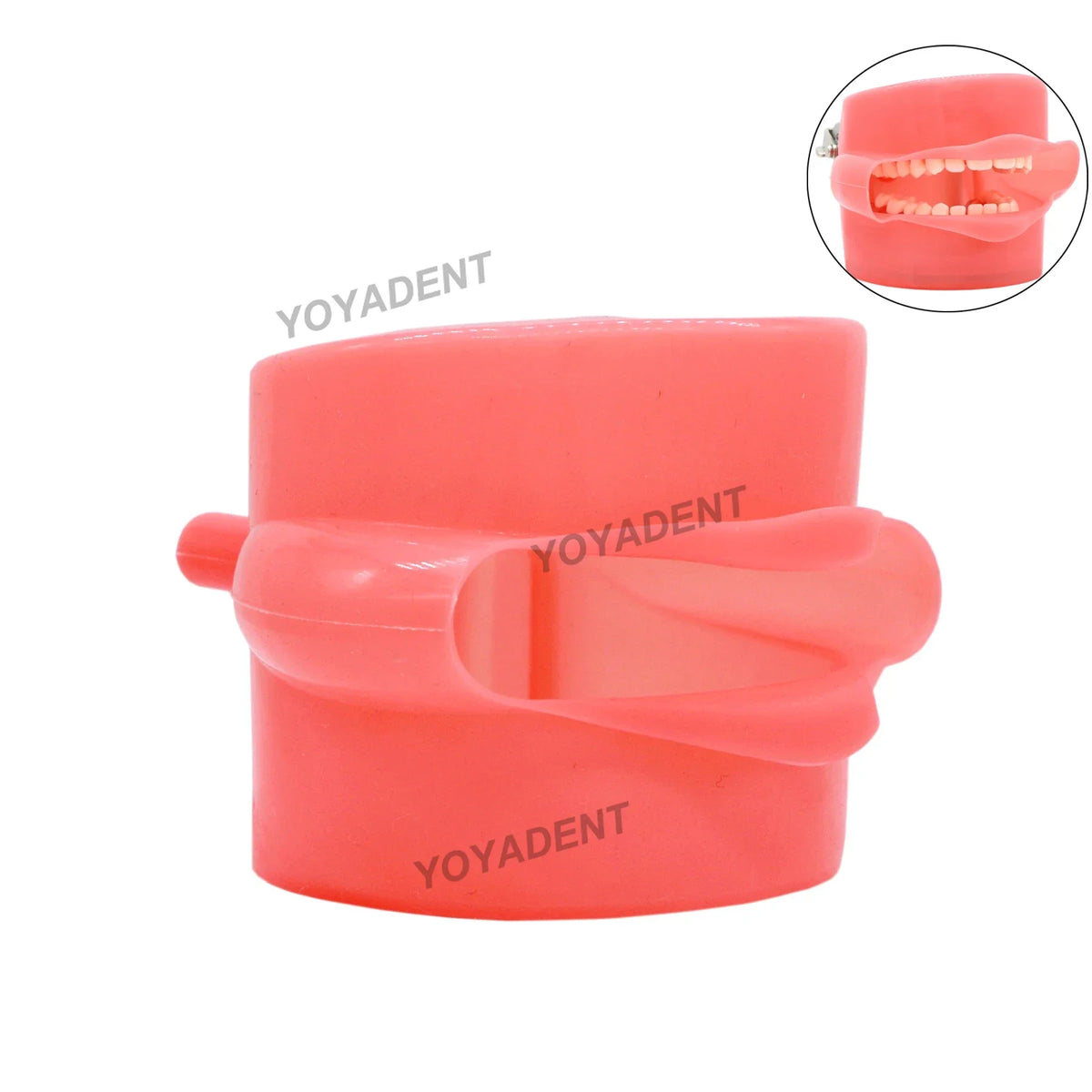 Simulation Cheek Attachment (NISSIN 200/500 Fit)