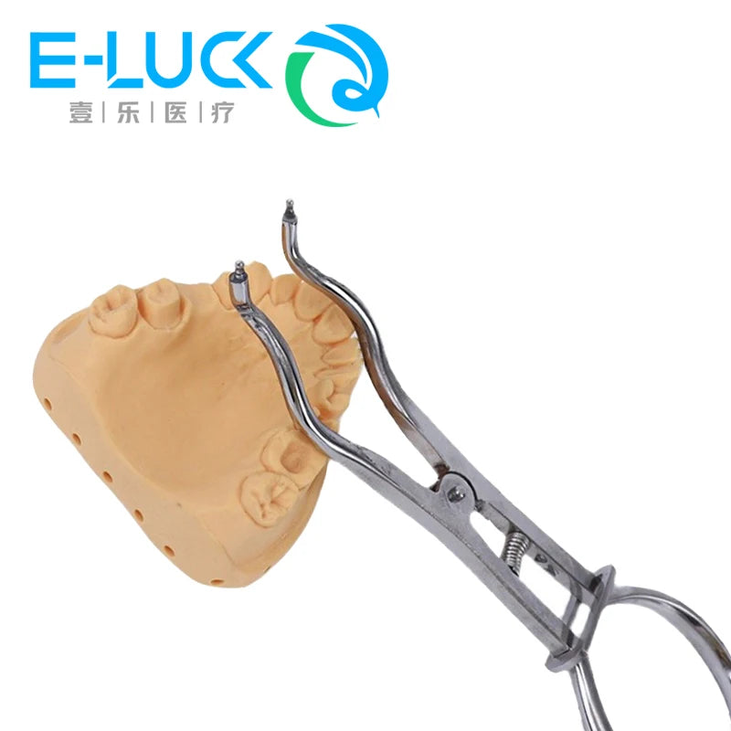 Rubber Dam Starter Kit (12-Piece, with Clamps)