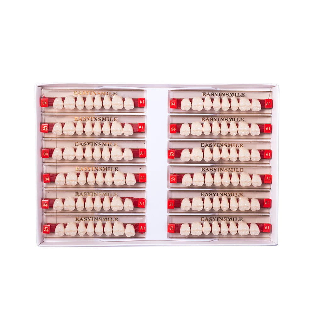Acrylic Denture Teeth Set (Shades A1–D4, Upper/Lower)