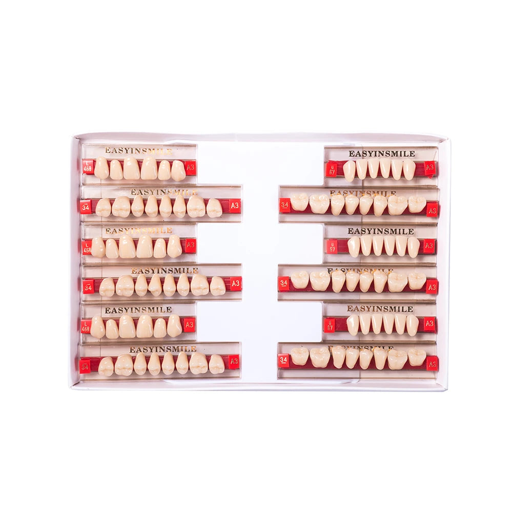 Acrylic Denture Teeth Set (Shades A1–D4, Upper/Lower)