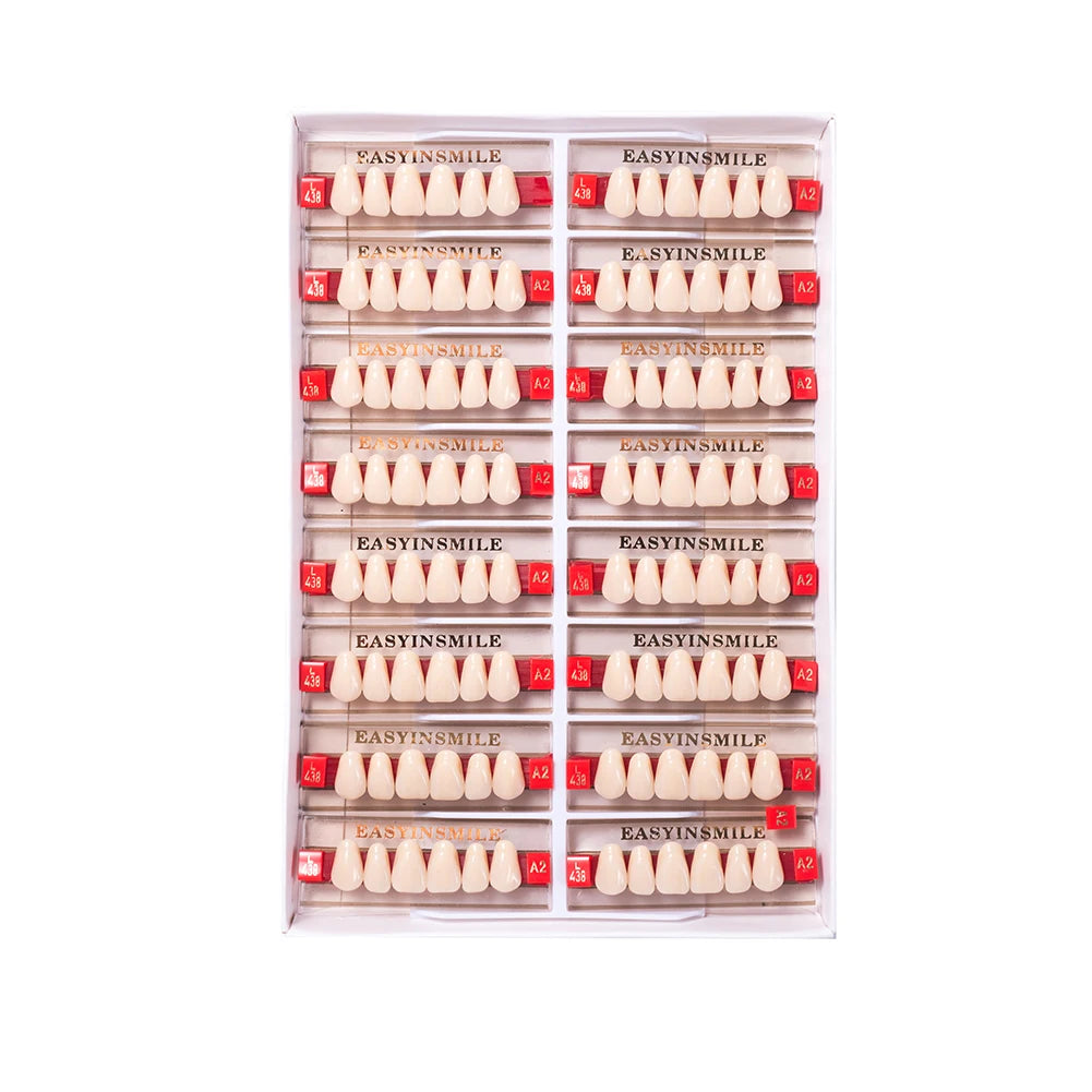 Acrylic Denture Teeth Set (Shades A1–D4, Upper/Lower)