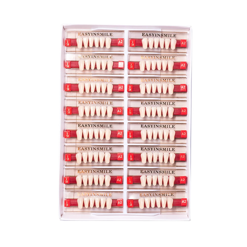 Acrylic Denture Teeth Set (Shades A1–D4, Upper/Lower)