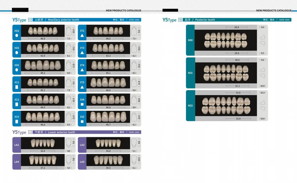 Acrylic Denture Teeth Set (Shades A1–D4, Upper/Lower)