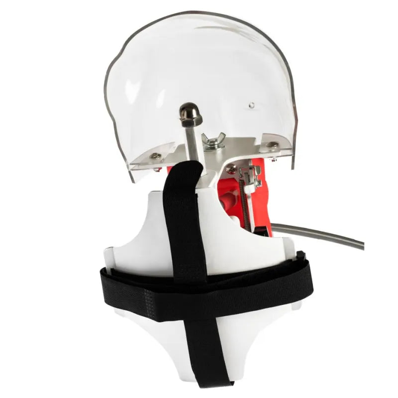 Dental Phantom Head Simulator with Typodont