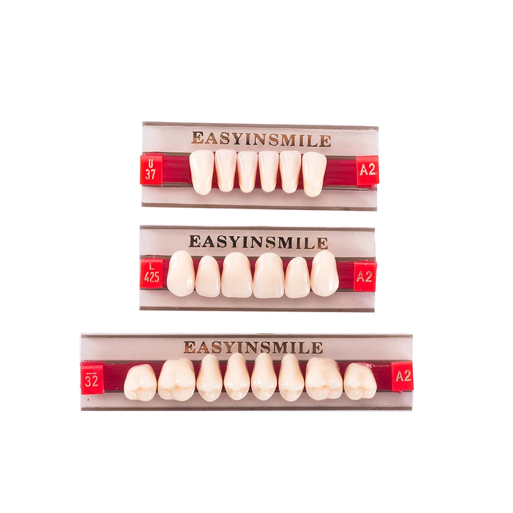 Acrylic Denture Teeth Set (Shades A1–D4, Upper/Lower)