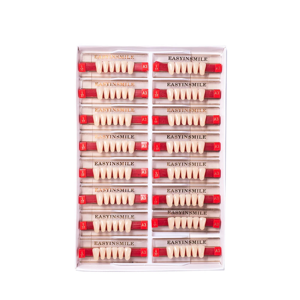 Acrylic Denture Teeth Set (Shades A1–D4, Upper/Lower)