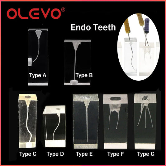 Clear Resin Endodontic Root Canal Training Block