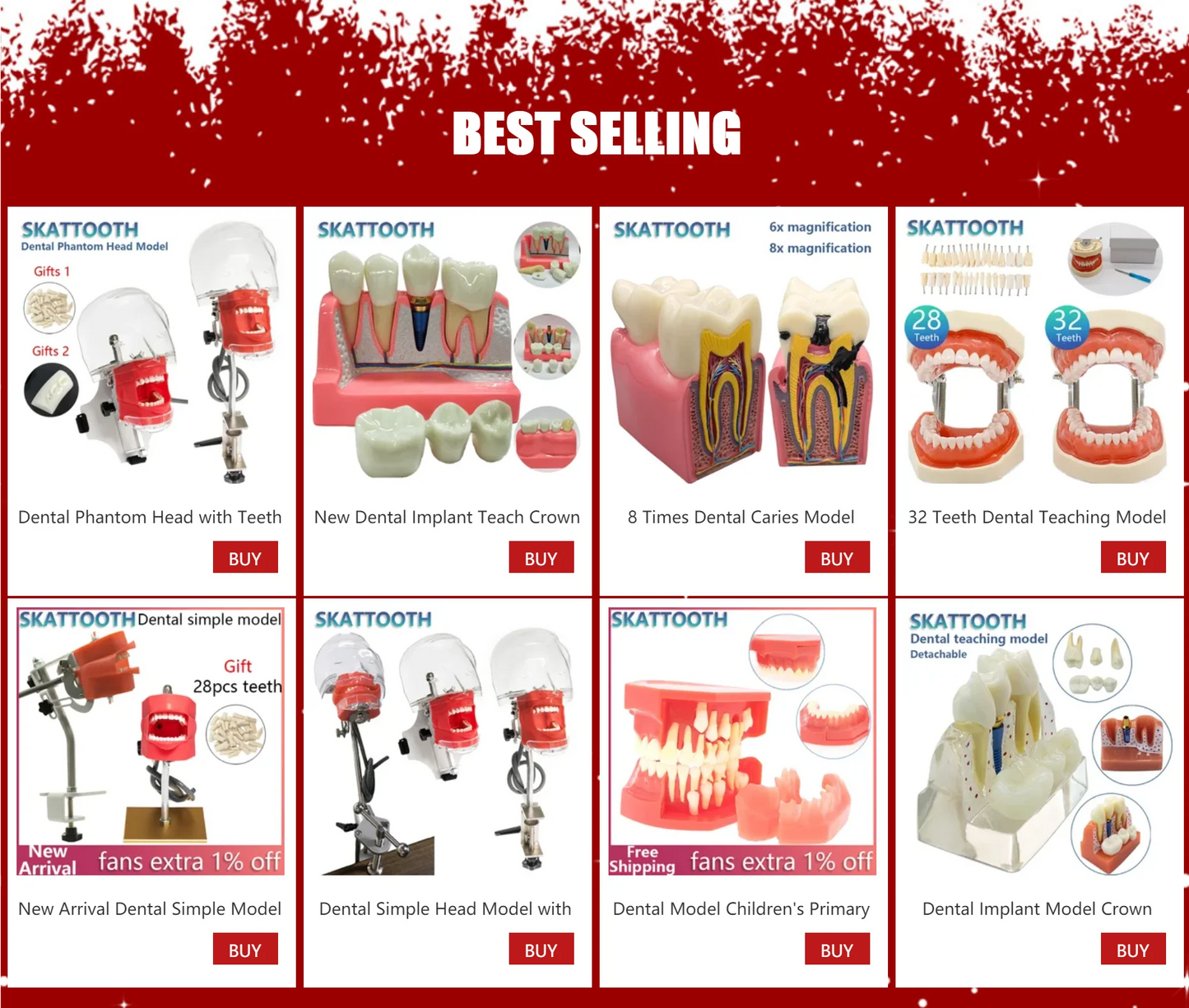 Magnified Caries & Implant Demonstration Model