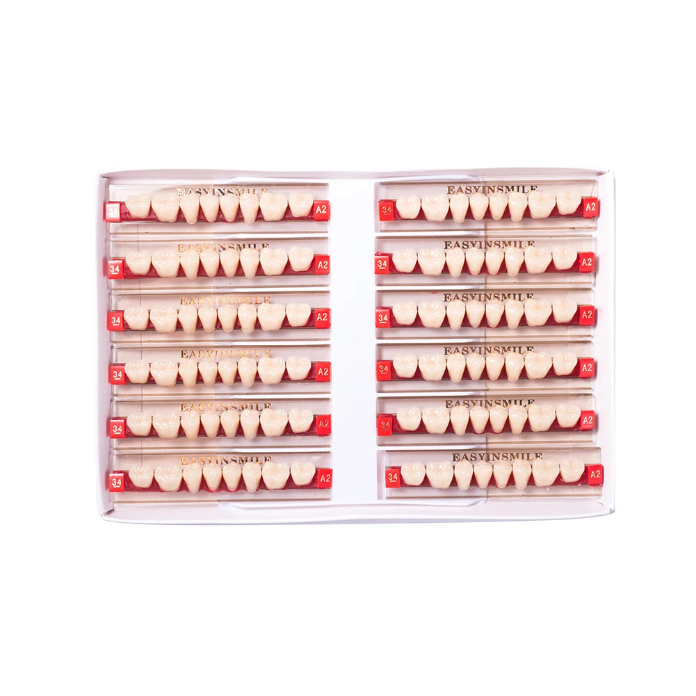 Acrylic Denture Teeth Set (Shades A1–D4, Upper/Lower)