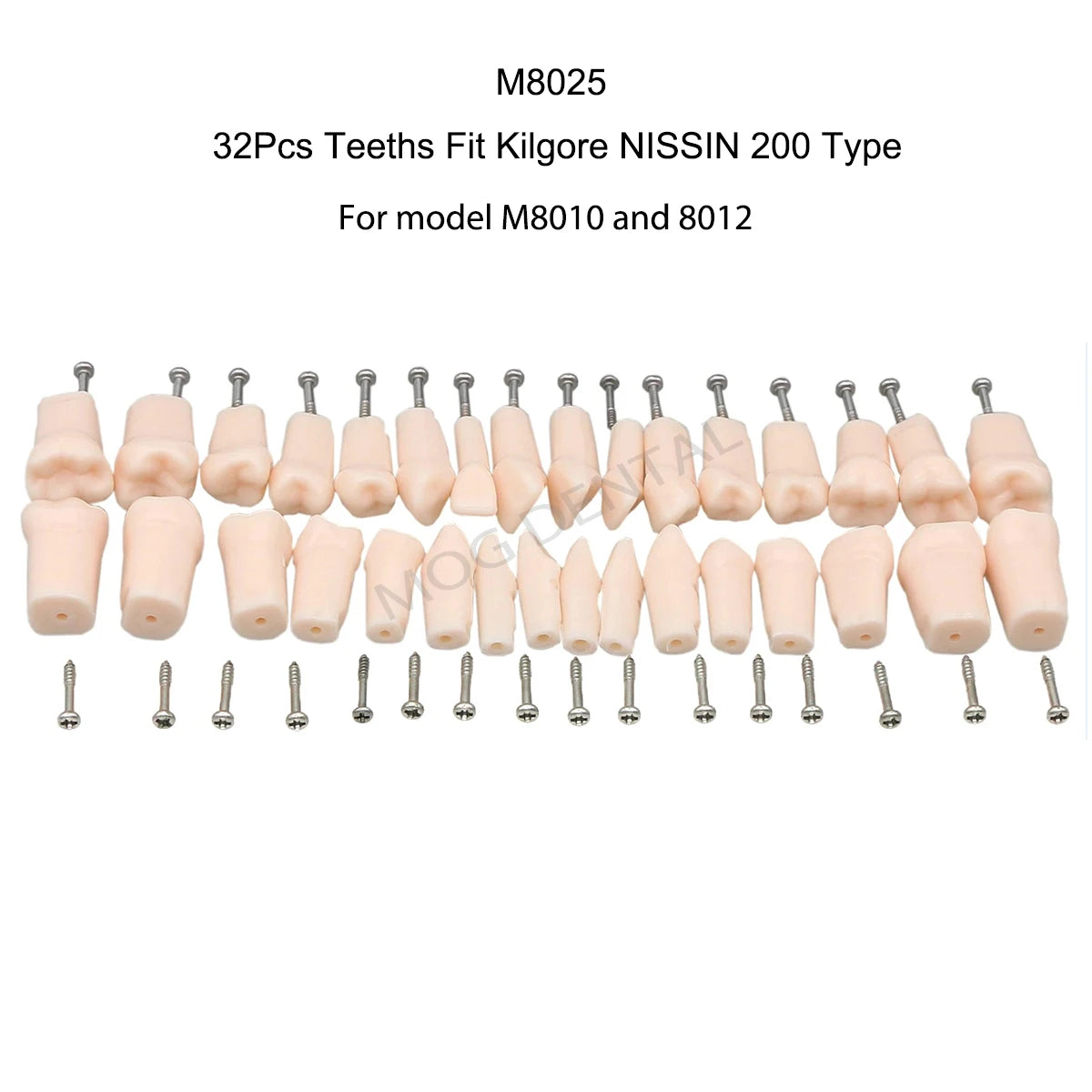 Dental Teeth Model Implant with Removable Dental Education Model for Dentistry Laboratory Demo Studying Dentistry Products Tool