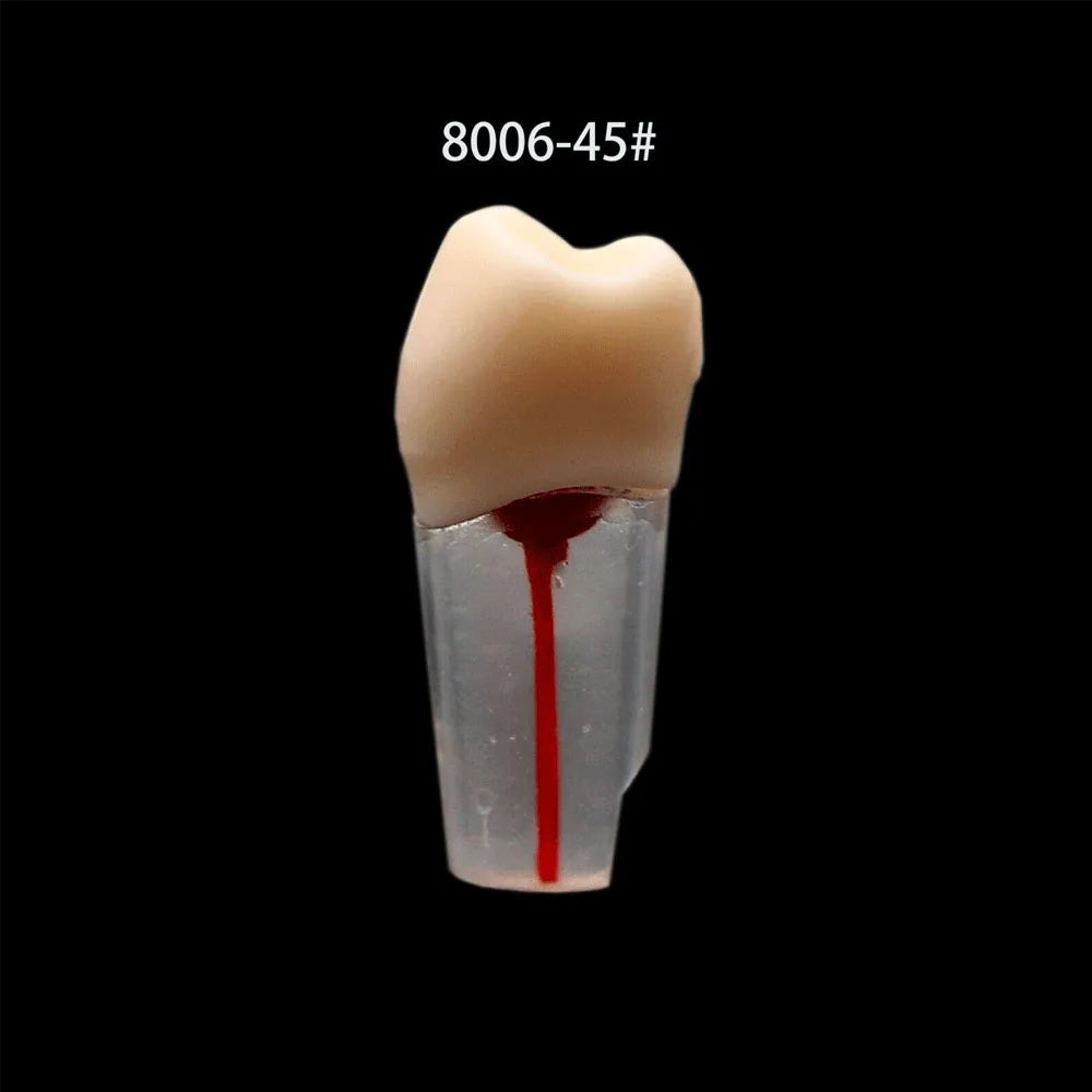 OLEVO 10 Pcs Dental RCT Endo Teeth Model Endodontic Root Canal Block Pulp Cavity Resin Study Practice Endodontic Training M8006