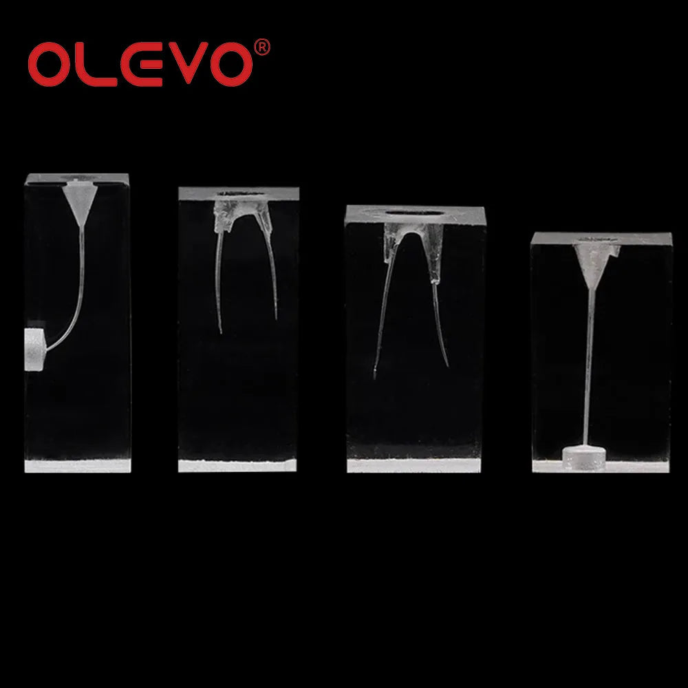 OLEVO Endo Teeth Dental Root Canal Practice Block Study Model RCT Pulp Cavity Training Clear Resin Demo Student Study Teaching