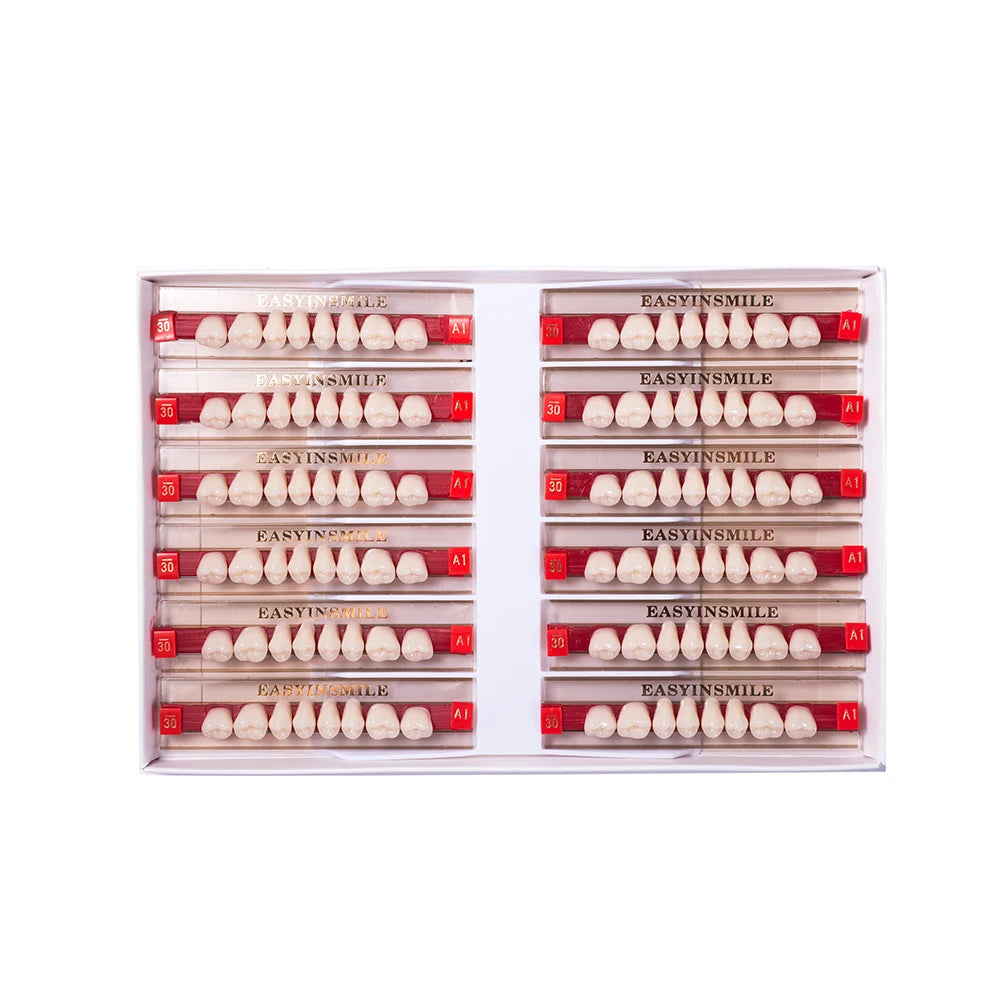 Acrylic Denture Teeth Set (Shades A1–D4, Upper/Lower)