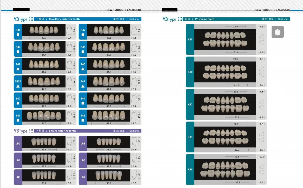 Acrylic Denture Teeth Set (Shades A1–D4, Upper/Lower)