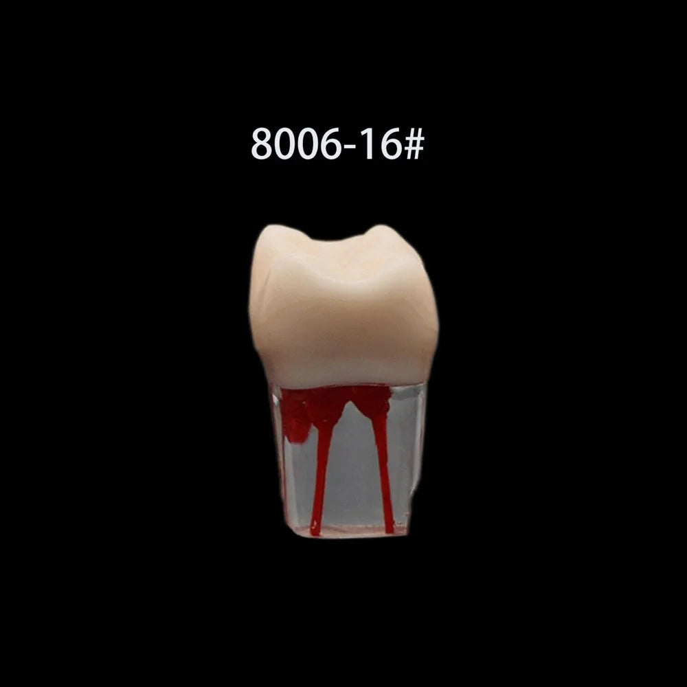 OLEVO 10 Pcs Dental RCT Endo Teeth Model Endodontic Root Canal Block Pulp Cavity Resin Study Practice Endodontic Training M8006