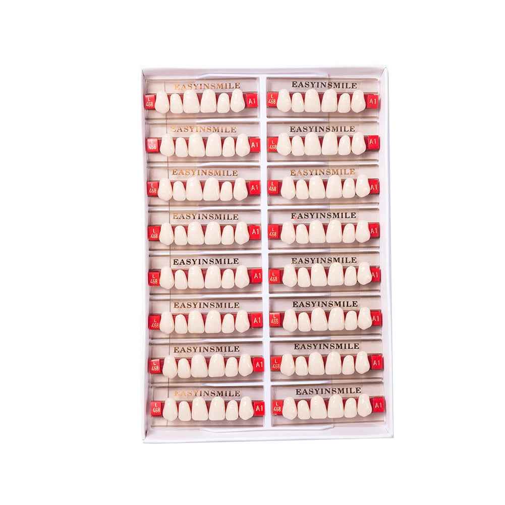 Acrylic Denture Teeth Set (Shades A1–D4, Upper/Lower)