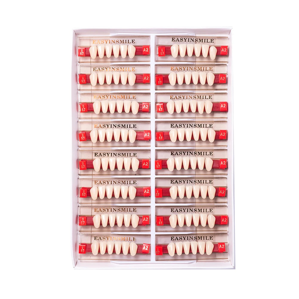 Acrylic Denture Teeth Set (Shades A1–D4, Upper/Lower)