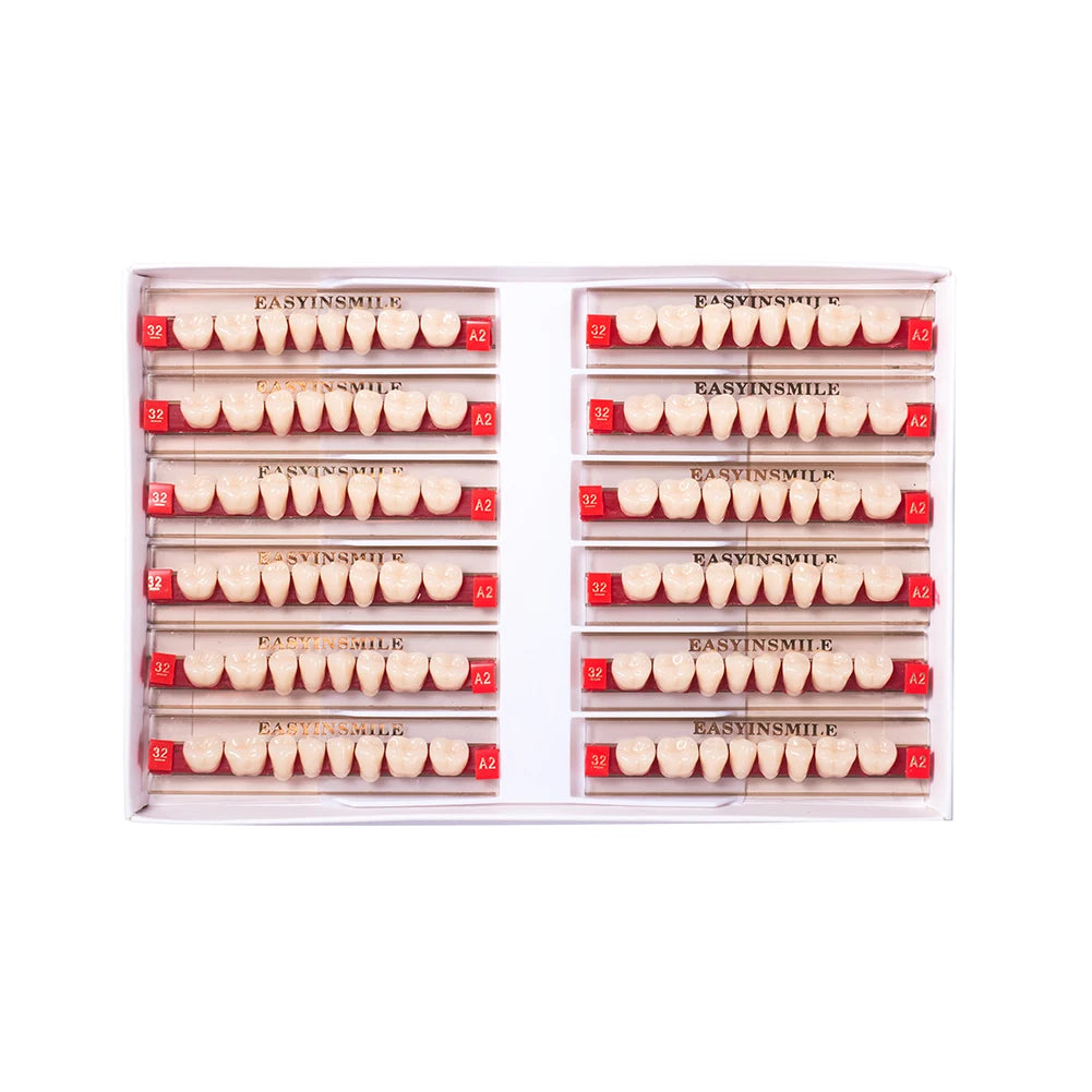 Acrylic Denture Teeth Set (Shades A1–D4, Upper/Lower)