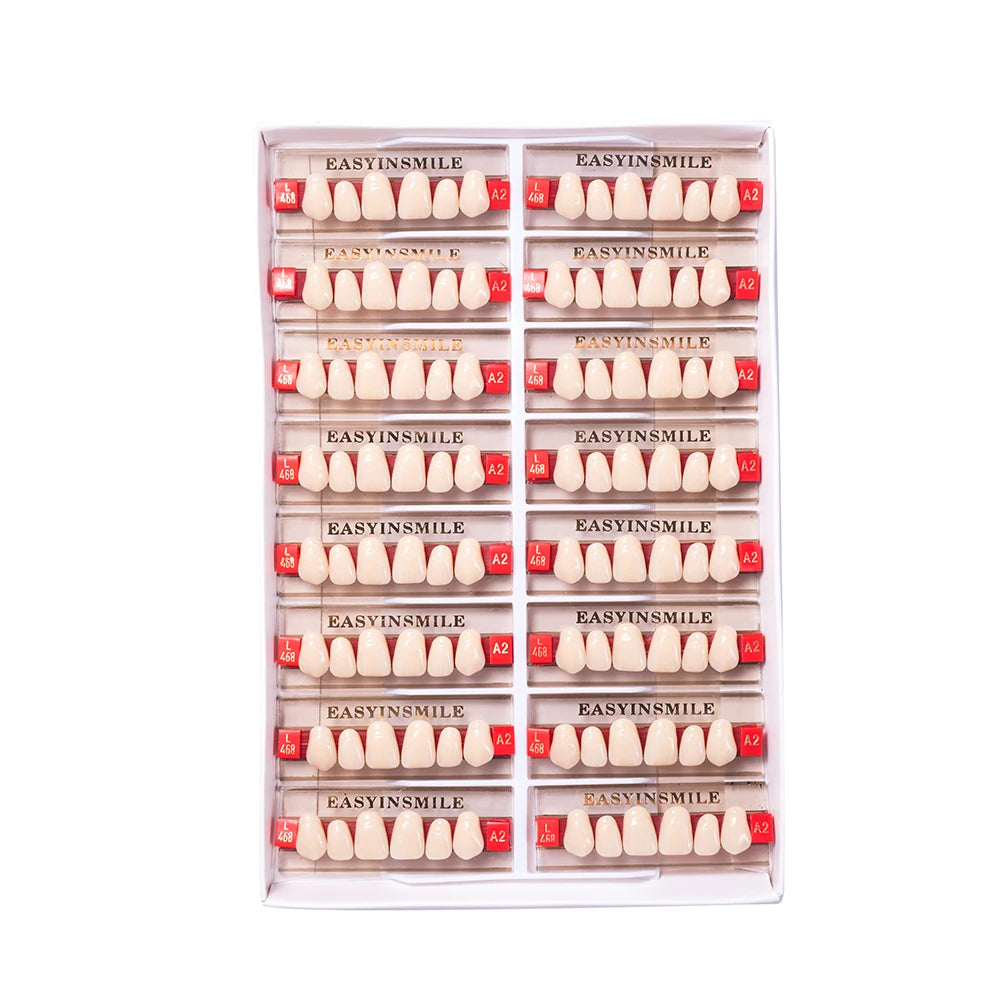 Acrylic Denture Teeth Set (Shades A1–D4, Upper/Lower)