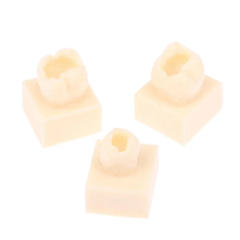 8Pcs Dental Resin Filling Practice Model Posterior Teeth Cavity Hole Restoration Student Training Studying Model