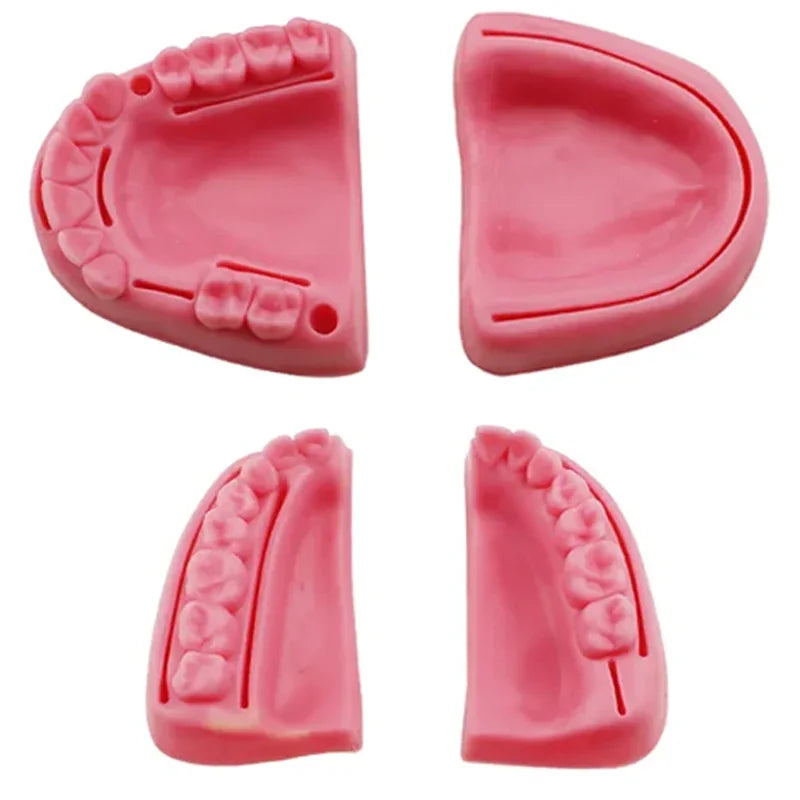 Gum & Oral Suture Practice Pad