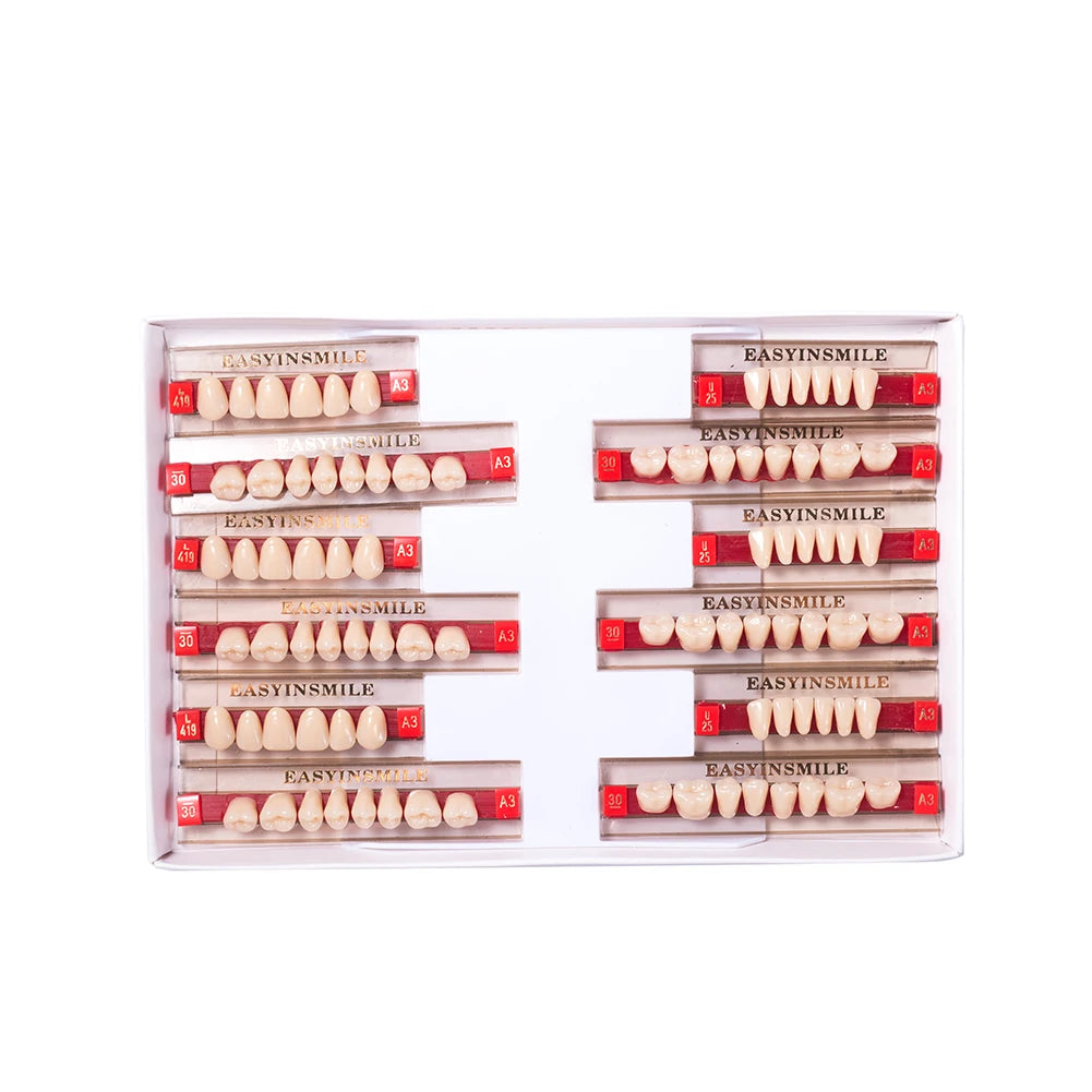 Acrylic Denture Teeth Set (Shades A1–D4, Upper/Lower)