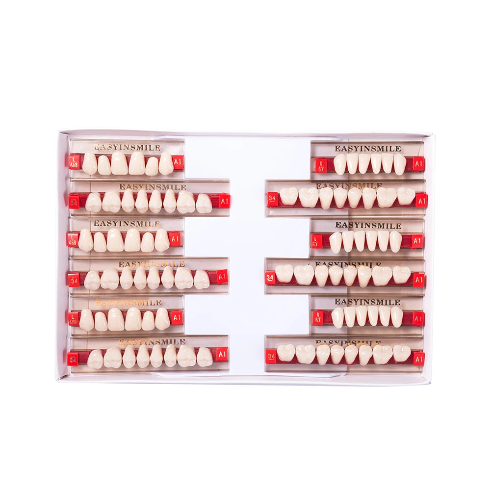 Acrylic Denture Teeth Set (Shades A1–D4, Upper/Lower)