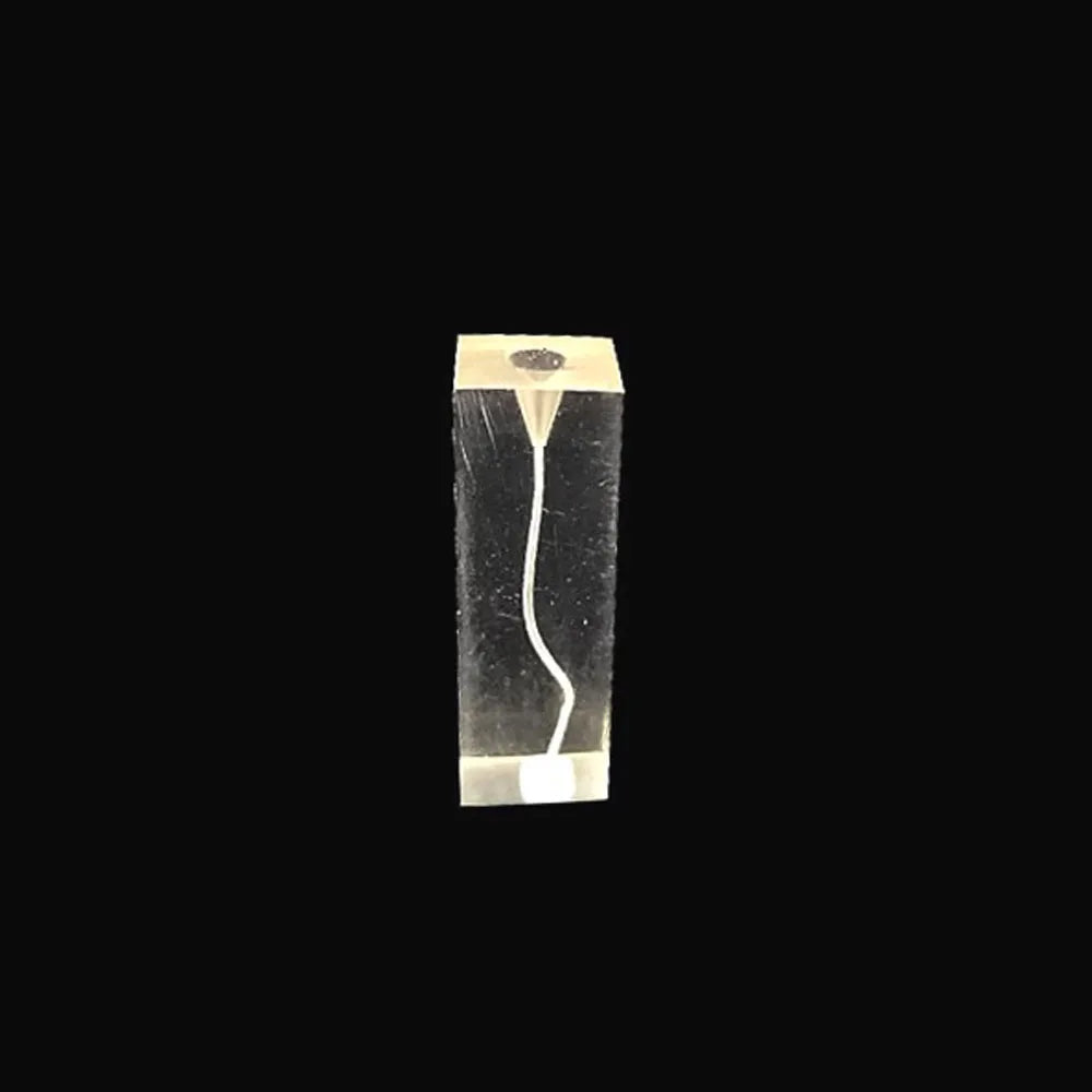 OLEVO Endo Teeth Dental Root Canal Practice Block Study Model RCT Pulp Cavity Training Clear Resin Demo Student Study Teaching