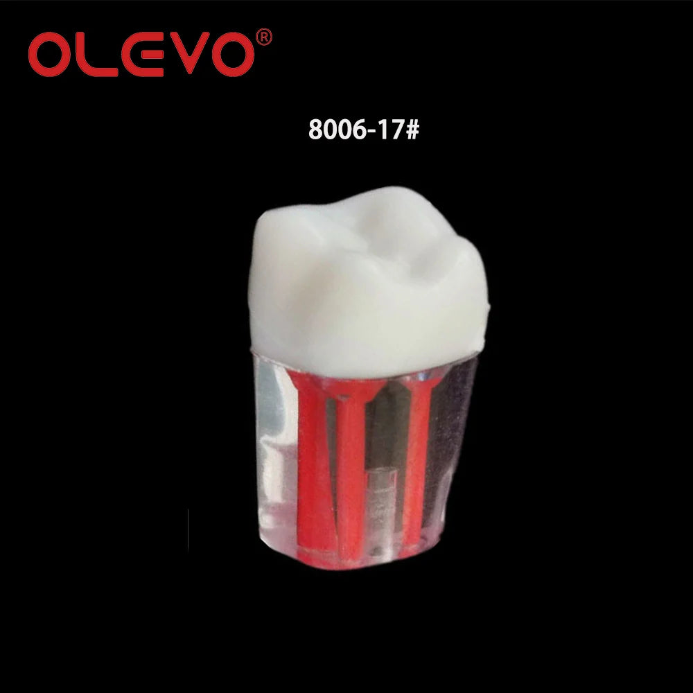 OLEVO 10 Pcs Dental RCT Endo Teeth Model Endodontic Root Canal Block Pulp Cavity Resin Study Practice Endodontic Training M8006