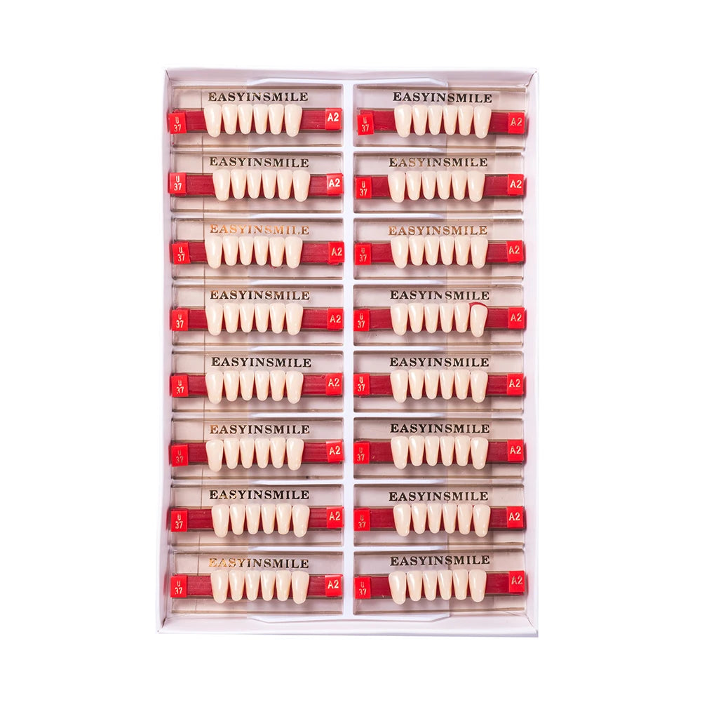 Acrylic Denture Teeth Set (Shades A1–D4, Upper/Lower)