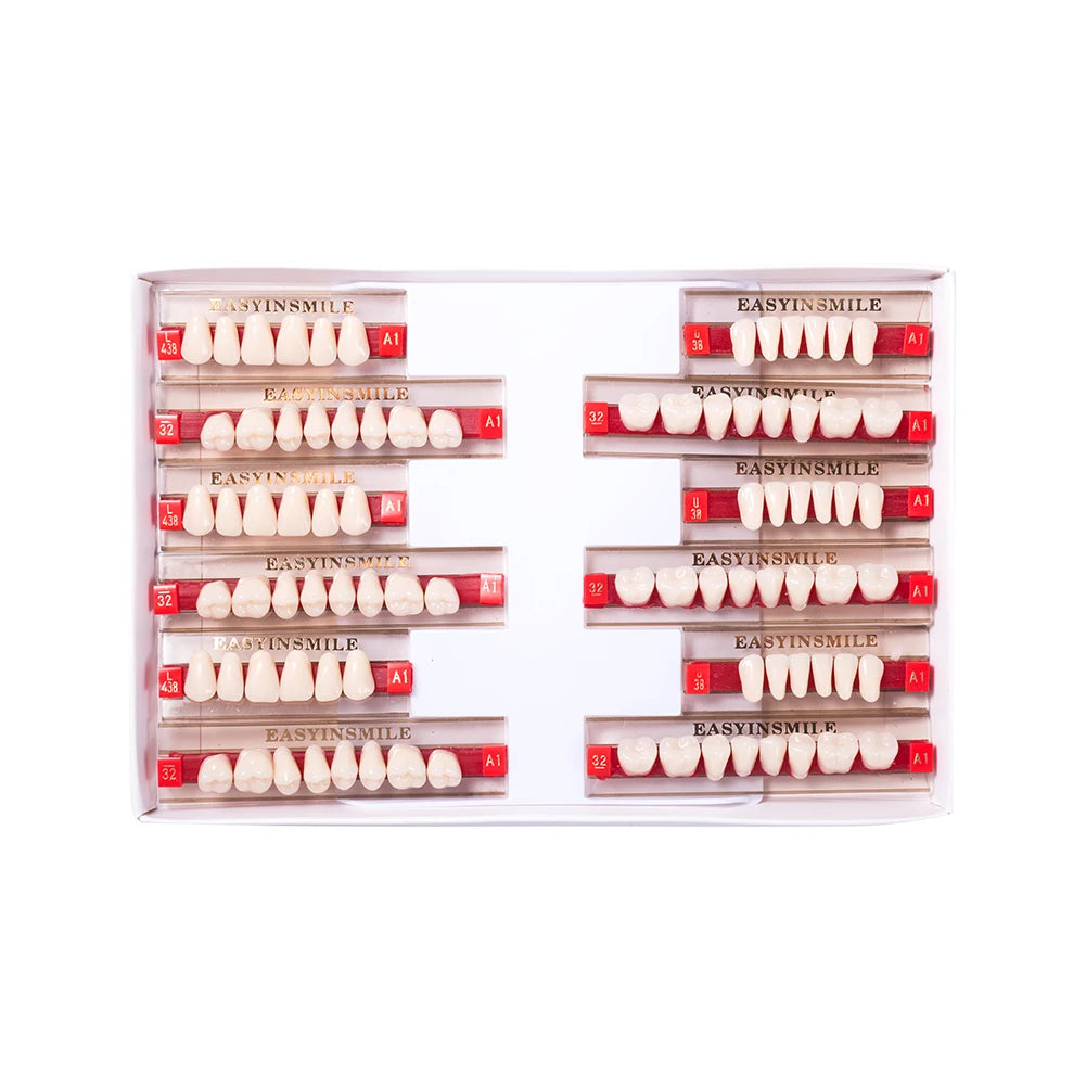 Acrylic Denture Teeth Set (Shades A1–D4, Upper/Lower)