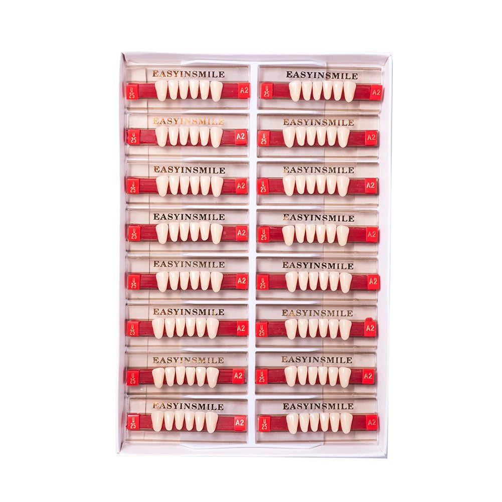 Acrylic Denture Teeth Set (Shades A1–D4, Upper/Lower)