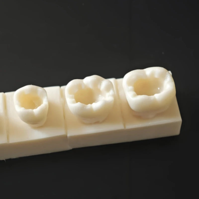 8Pcs Dental Resin Filling Practice Model Posterior Teeth Cavity Hole Restoration Student Training Studying Model