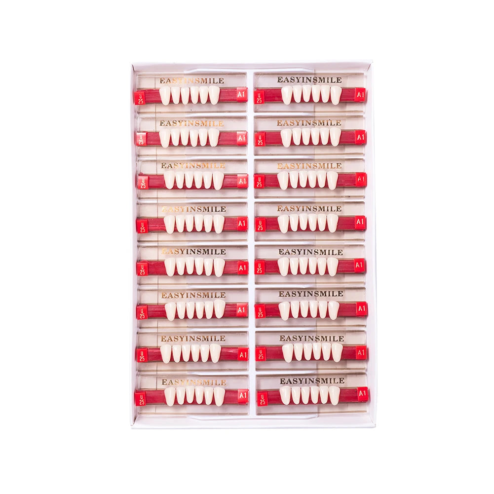 Acrylic Denture Teeth Set (Shades A1–D4, Upper/Lower)