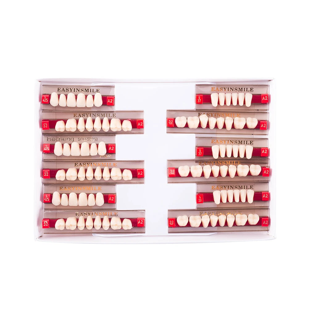 Acrylic Denture Teeth Set (Shades A1–D4, Upper/Lower)