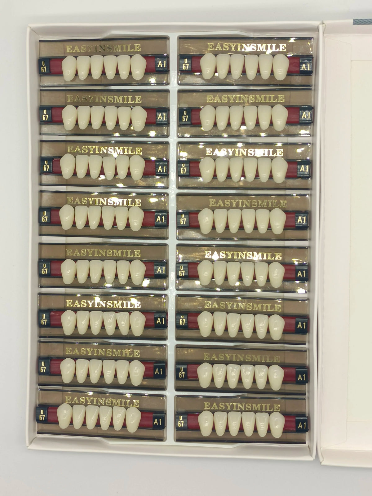 Acrylic Denture Teeth Set (Shades A1–D4, Upper/Lower)