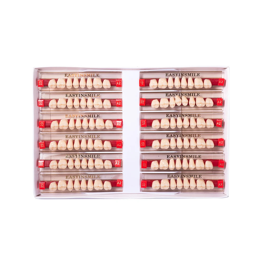 Acrylic Denture Teeth Set (Shades A1–D4, Upper/Lower)
