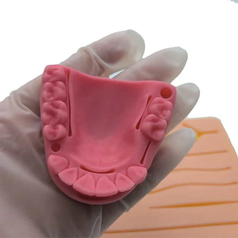 Gum & Oral Suture Practice Pad