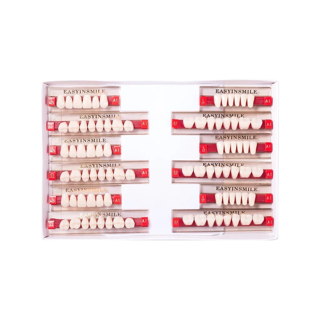 Acrylic Denture Teeth Set (Shades A1–D4, Upper/Lower)