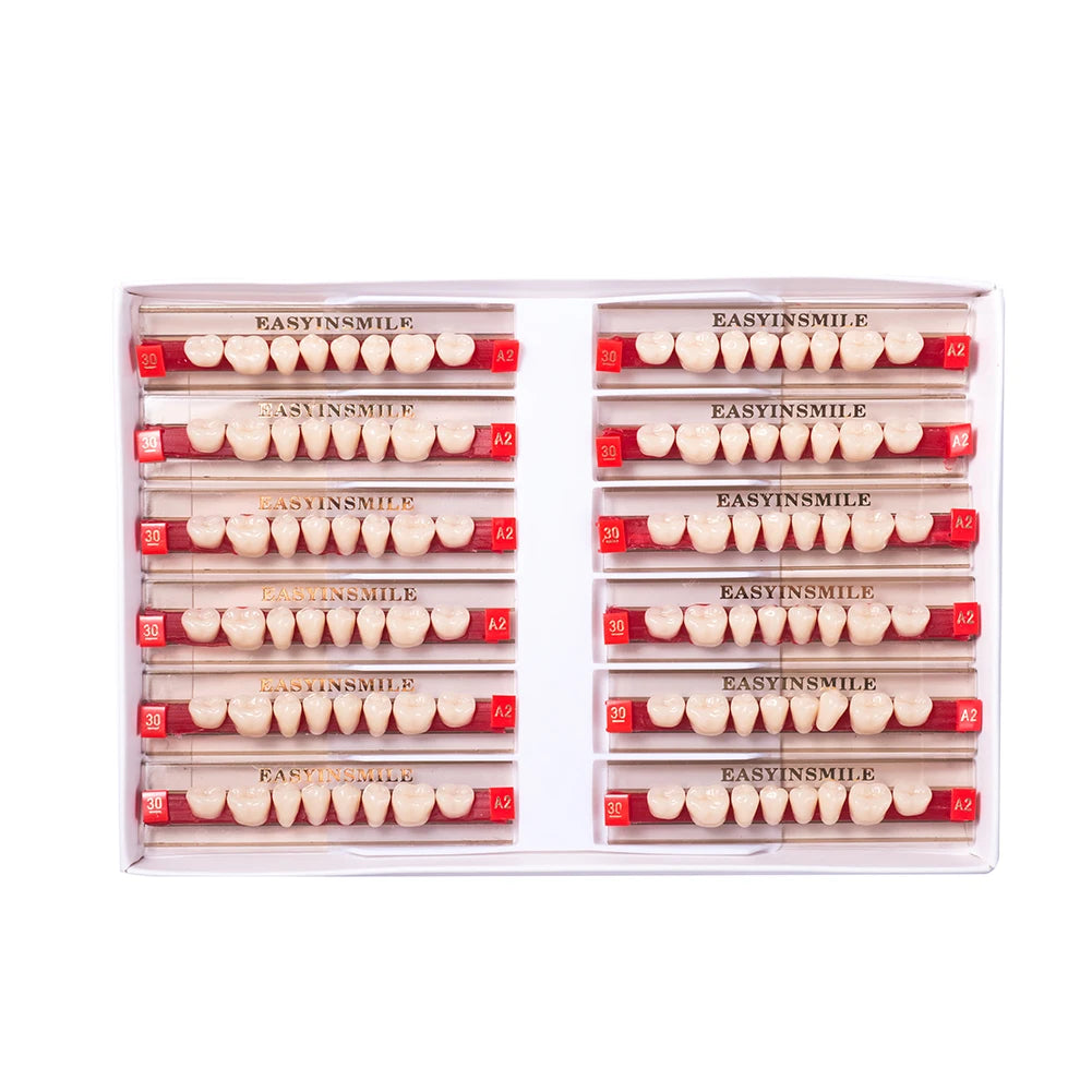 Acrylic Denture Teeth Set (Shades A1–D4, Upper/Lower)