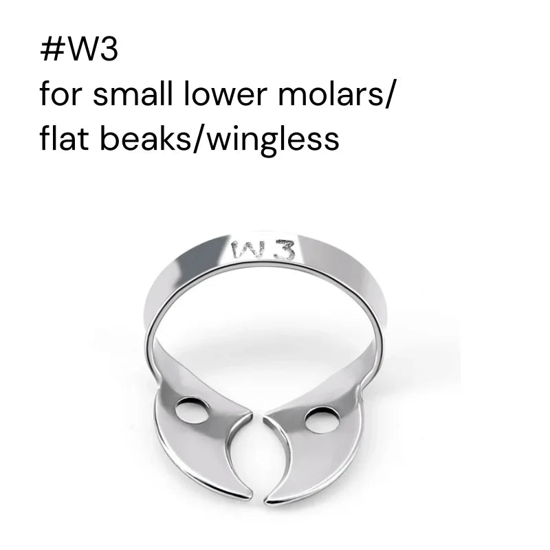 Stainless Steel Rubber Dam Clamps