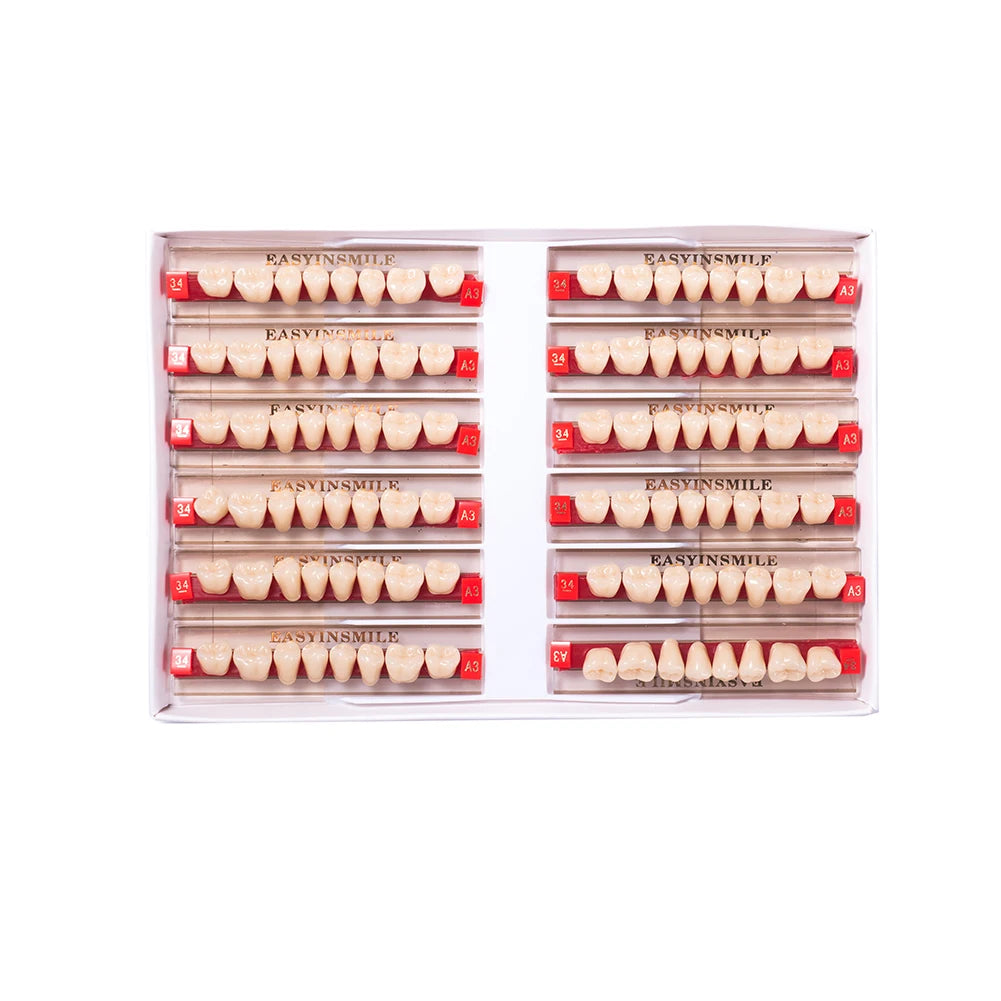 Acrylic Denture Teeth Set (Shades A1–D4, Upper/Lower)