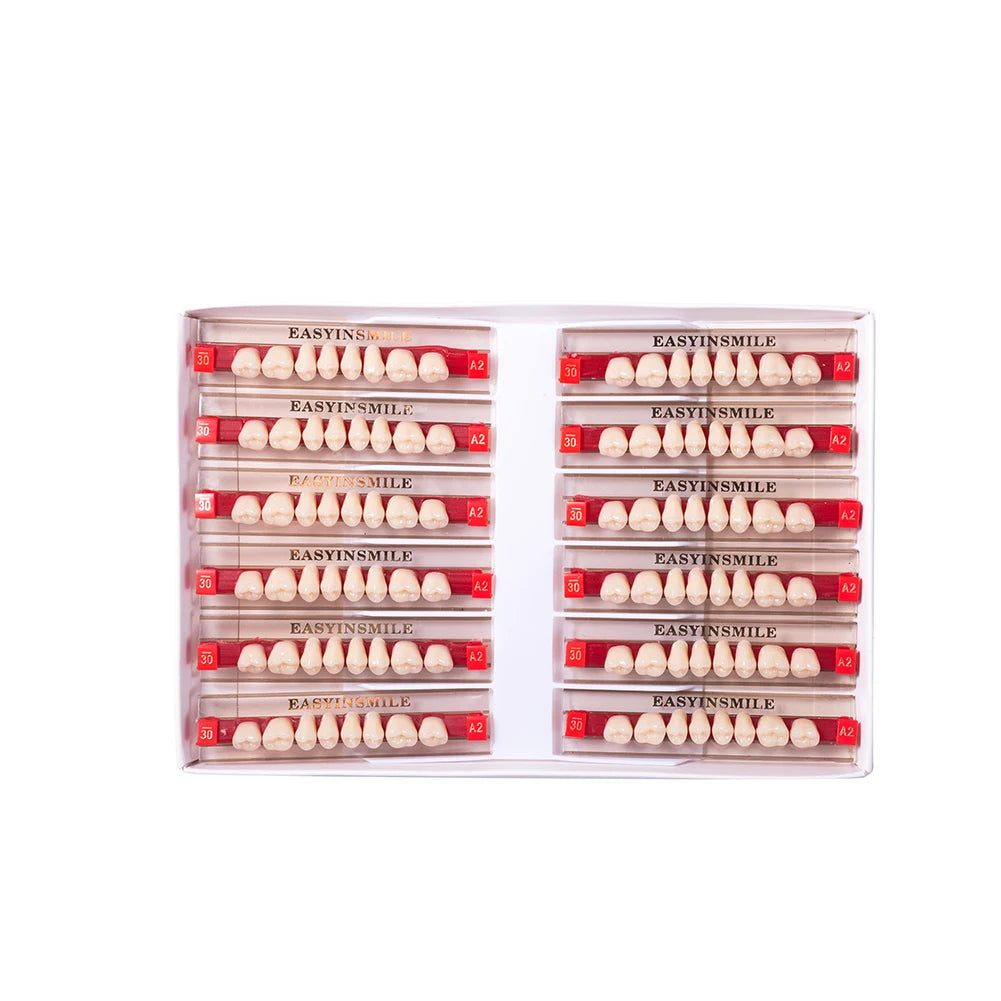 Acrylic Denture Teeth Set (Shades A1–D4, Upper/Lower)