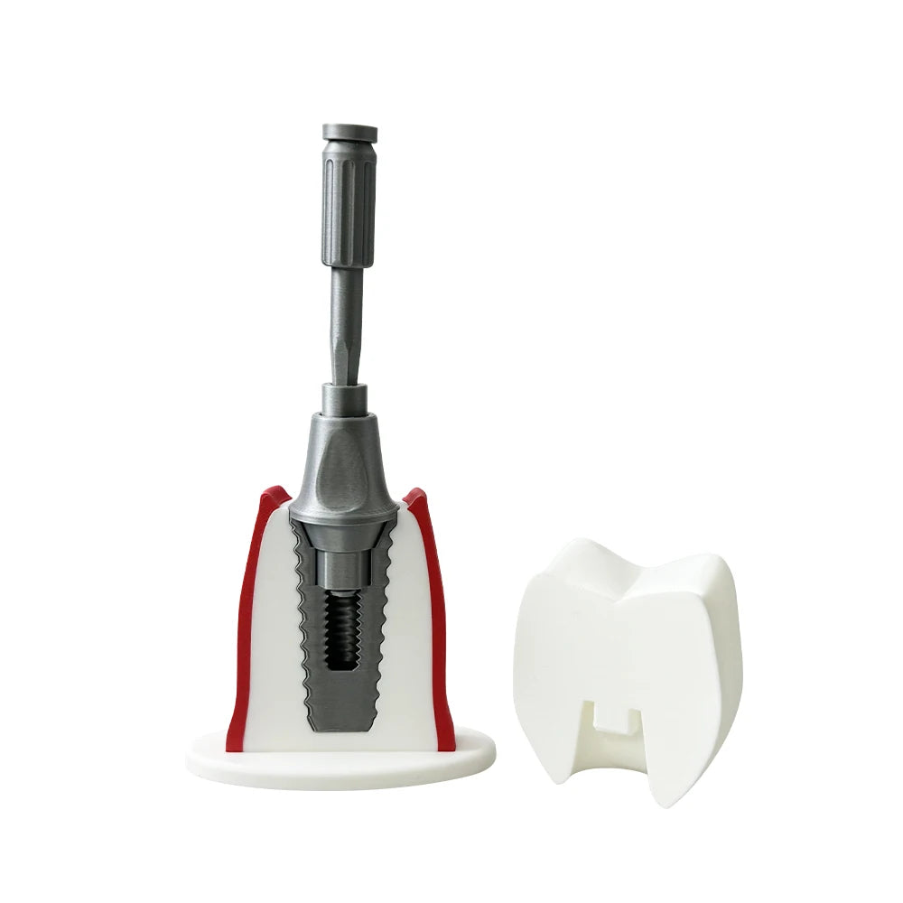Detachable Implant Demonstration Model (Large)