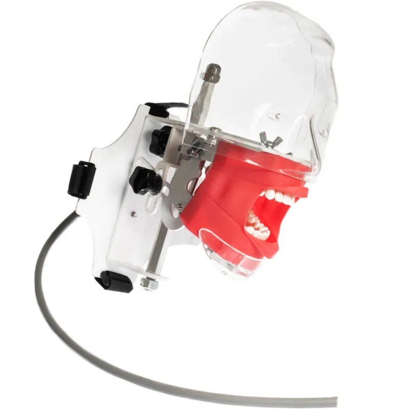 Dental Phantom Head Simulator with Typodont