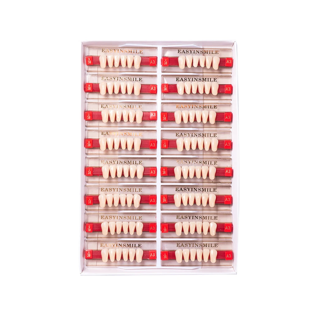 Acrylic Denture Teeth Set (Shades A1–D4, Upper/Lower)