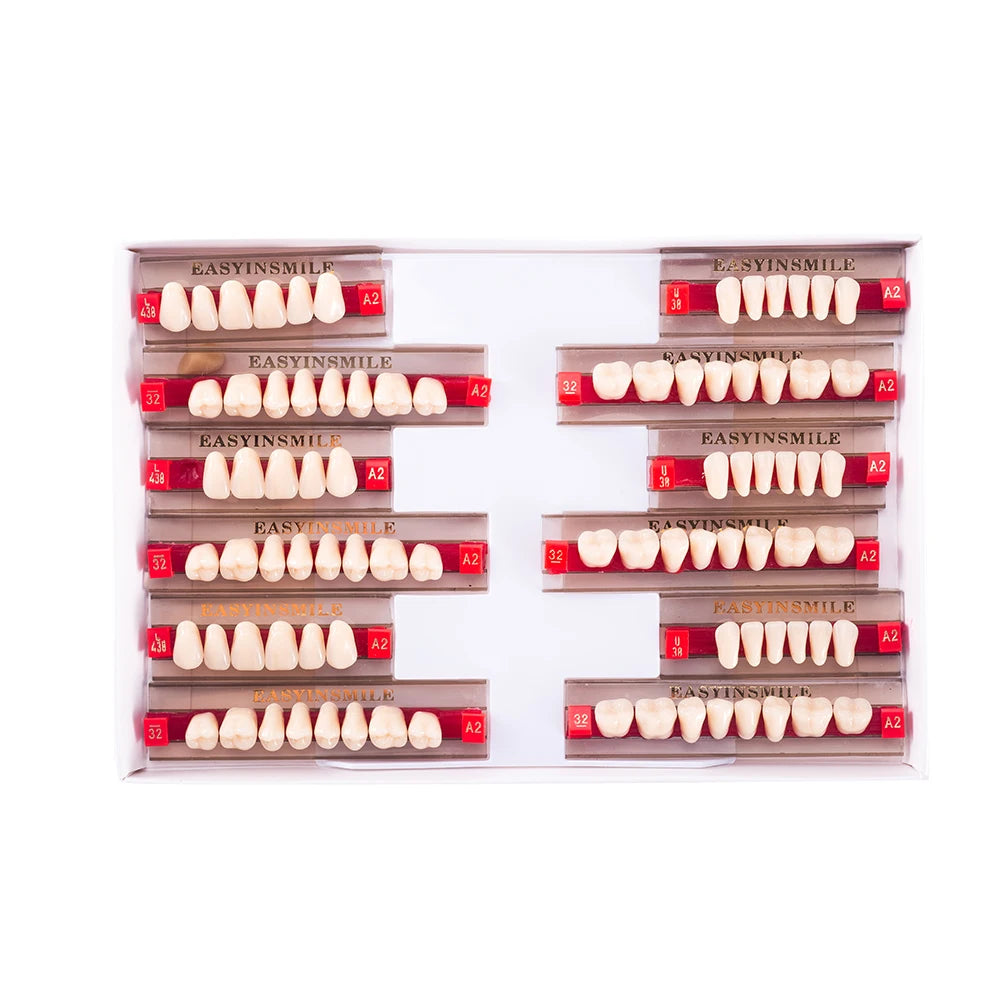 Acrylic Denture Teeth Set (Shades A1–D4, Upper/Lower)