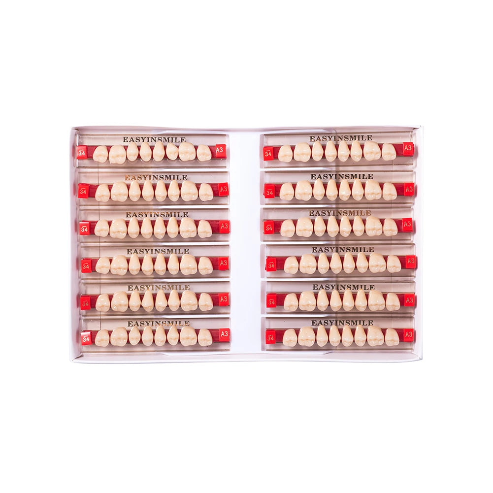 Acrylic Denture Teeth Set (Shades A1–D4, Upper/Lower)