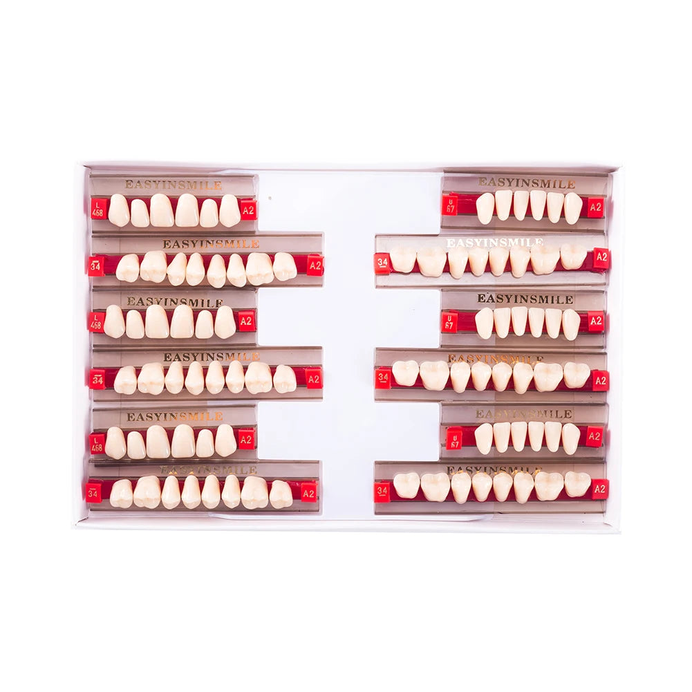 Acrylic Denture Teeth Set (Shades A1–D4, Upper/Lower)